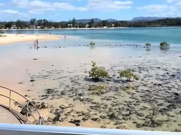 Calm shallows of Tallebudgera Creek